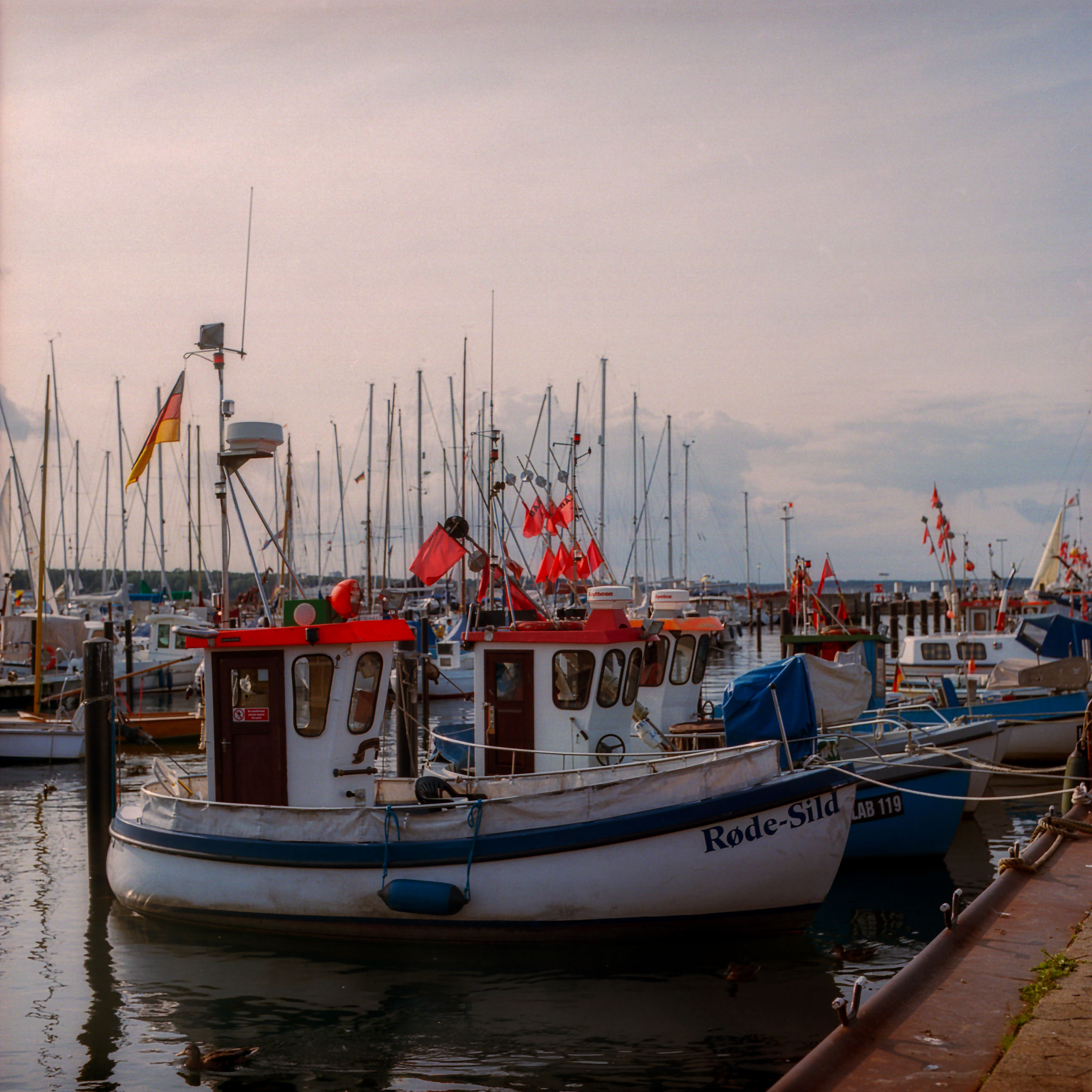 Krabbenkutter im Hafen von Laboe